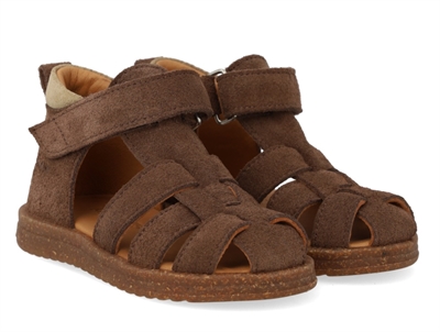 Angulus sandal cognac/dark brown  