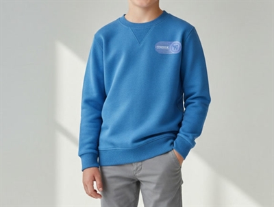 Wood Wood blue sweatshirt Rod