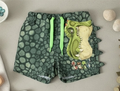 Name It laurel wreath swim shorts Gigantosaurus