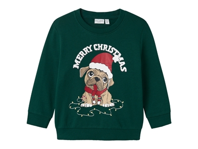 Name It botanical garden Christmas sweatshirt