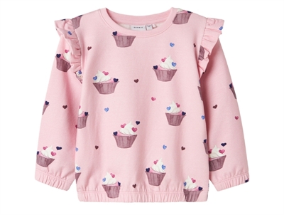 Name It mountain spring dino sweatshirt