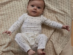 Lil Atelier turtledove rhinoceros/elephant bodysuit