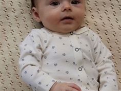 Lil Atelier turtledove rhinoceros/elephant bodysuit
