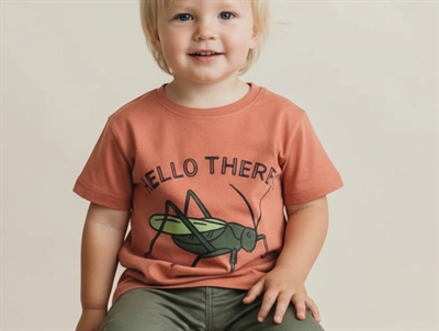 Soft Gallery t-shirt Asger baked clay grashopper