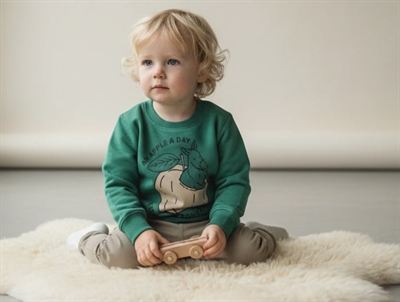 Soft Gallery sweatshirt Baptiste verdant green donkey fruit