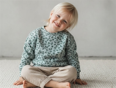 Soft Gallery sweatshirt Baptiste slate leospot