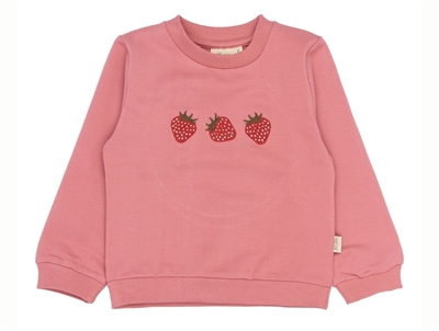 Petit Piao sweatshirt dusty rose with embroidered strawberries
