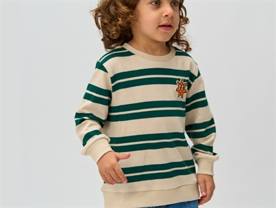 THE NEW siblings striped sweatshirt with star motif